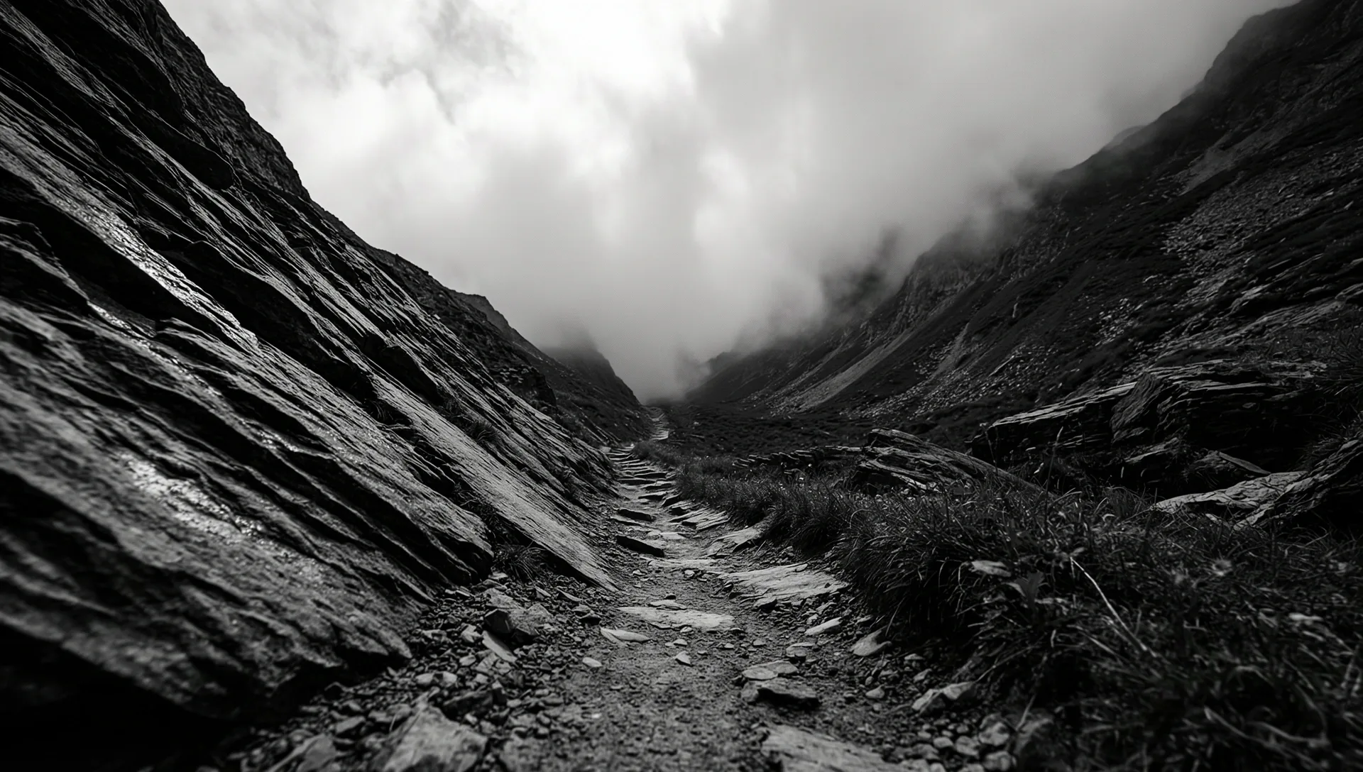 Berglandschaft im Nebel